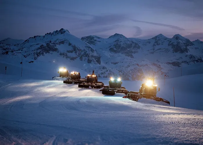 Schneider Dependance